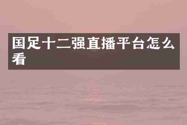 国足十二强直播平台怎么看