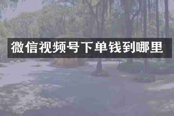 微信视频号下单钱到哪里