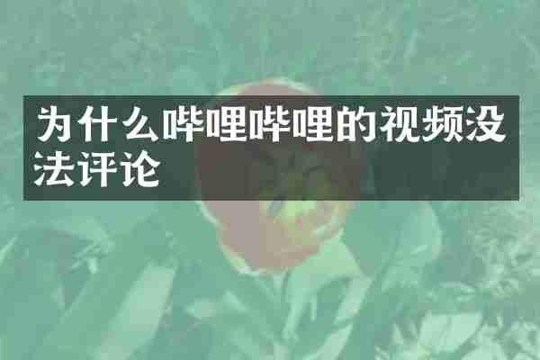 为什么哔哩哔哩的视频没法评论