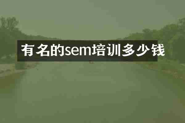 有名的sem培训多少钱