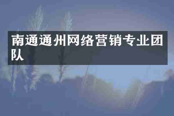 南通通州网络营销专业团队