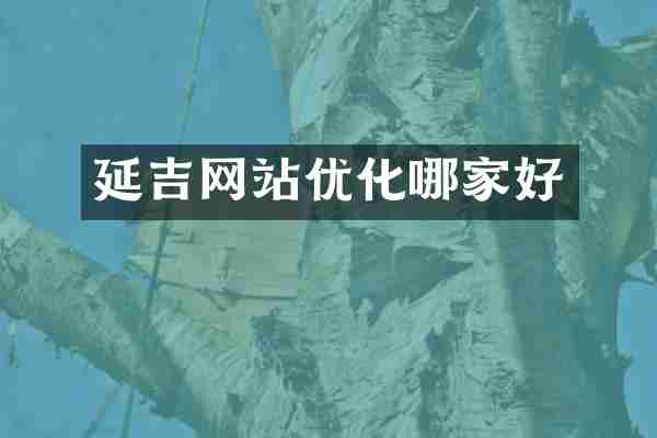 延吉网站优化哪家好
