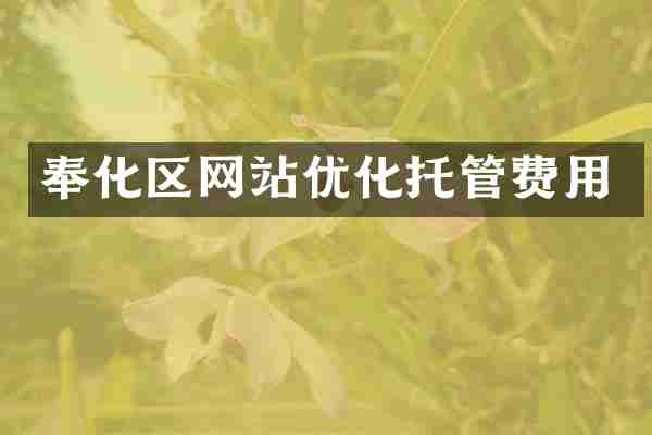 奉化区网站优化托管费用