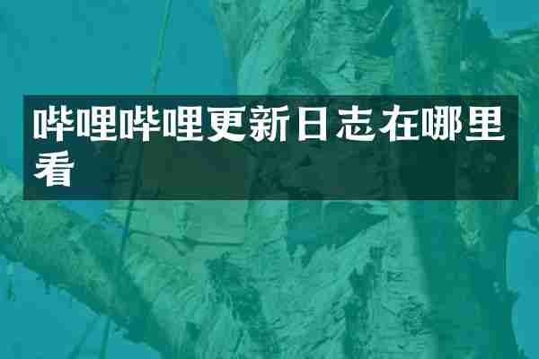 哔哩哔哩更新日志在哪里看