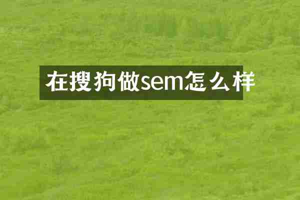 在搜狗做sem怎么样