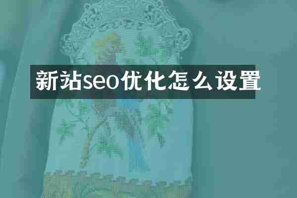 新站seo优化怎么设置