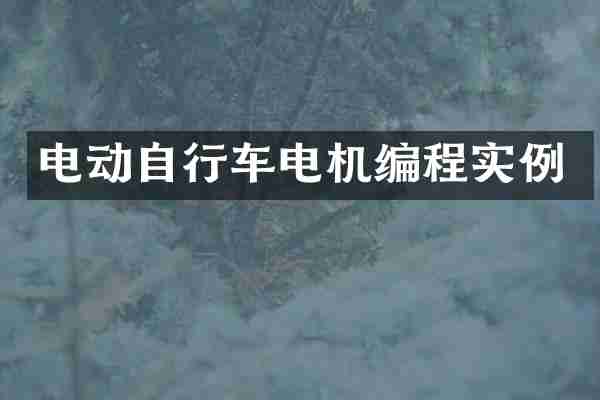 电动自行车电机编程实例