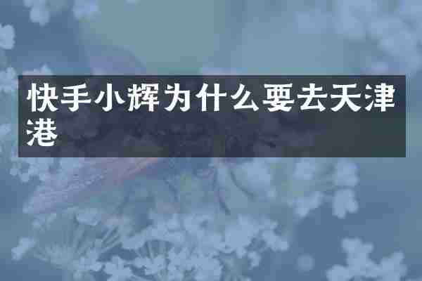 快手小辉为什么要去天津港