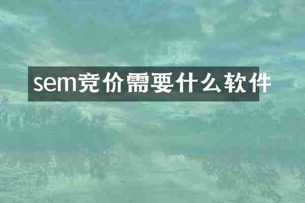 sem竞价需要什么软件