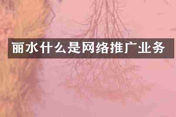 丽水什么是网络推广业务