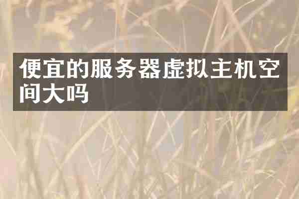 便宜的服务器虚拟主机空间大吗
