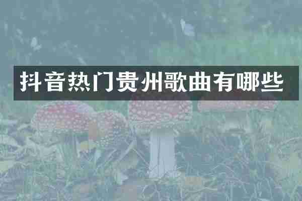 抖音热门贵州歌曲有哪些