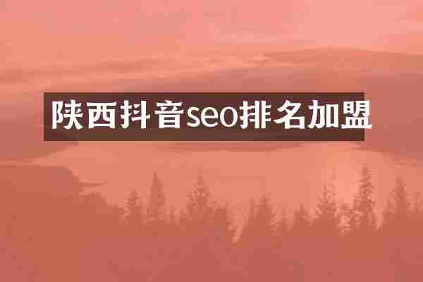 陕西抖音seo排名加盟