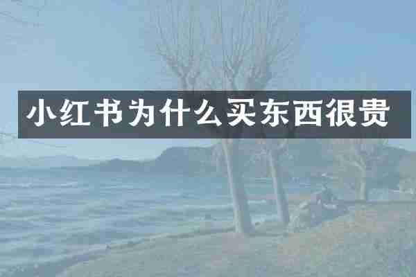 小红书为什么买东西很贵