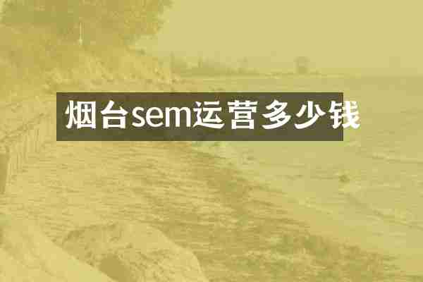 烟台sem运营多少钱