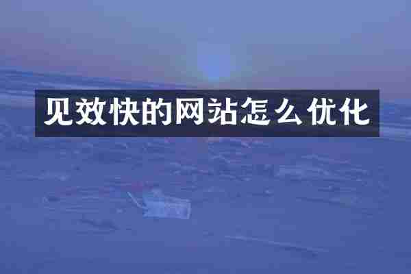 见效快的网站怎么优化