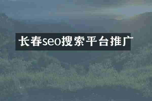 长春seo搜索平台推广
