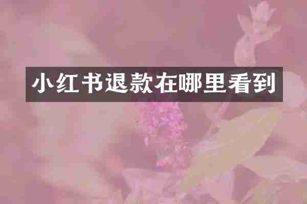 小红书退款在哪里看到