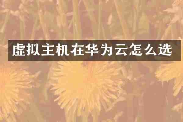虚拟主机在华为云怎么选