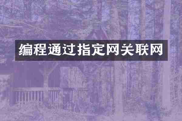 编程通过指定网关联网