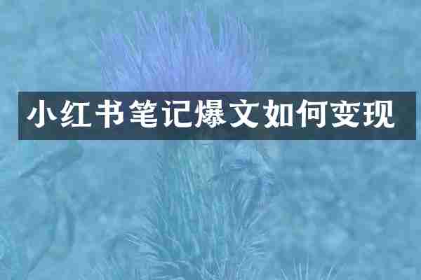 小红书笔记爆文如何变现