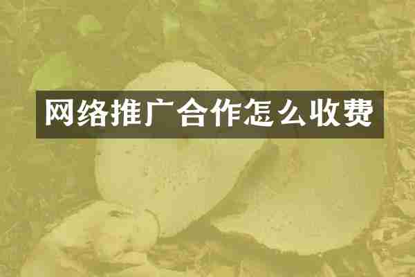 网络推广合作怎么收费