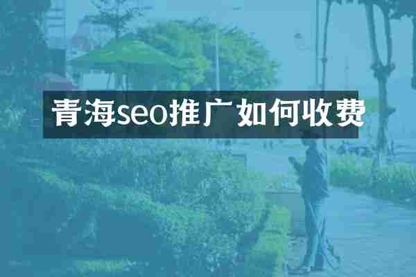 青海seo推广如何收费