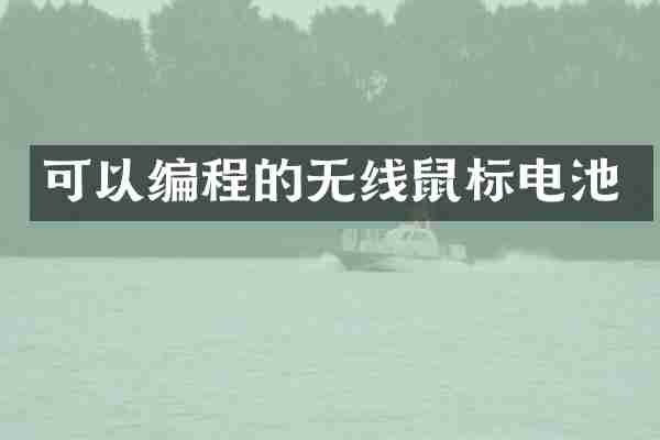 可以编程的无线鼠标电池