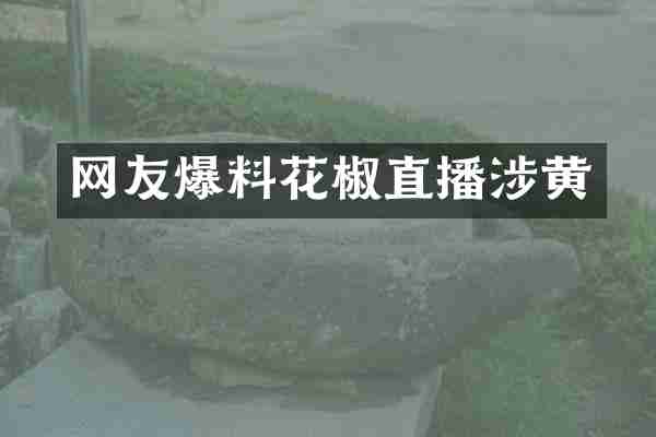 网友爆料花椒直播涉黄