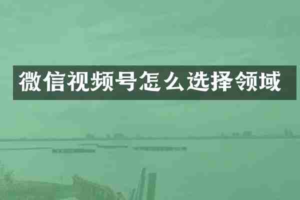 微信视频号怎么选择领域