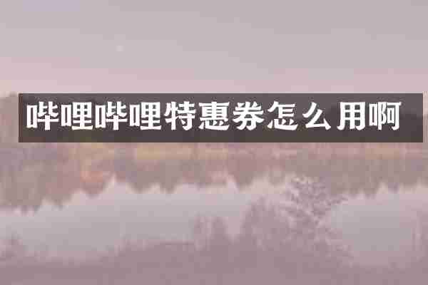哔哩哔哩特惠券怎么用啊