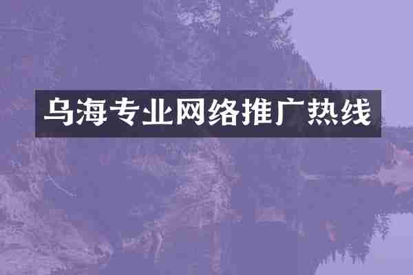 乌海专业网络推广热线