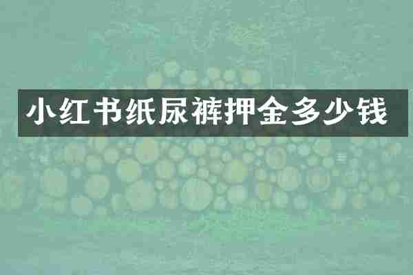 小红书纸尿裤押金多少钱