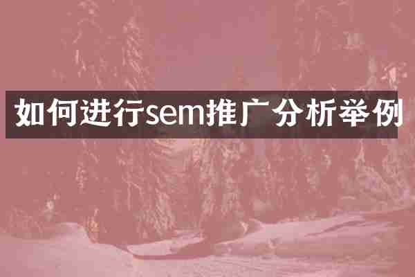 如何进行sem推广分析举例