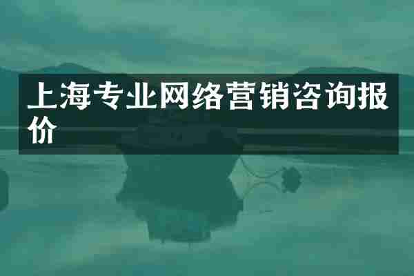 上海专业网络营销咨询报价