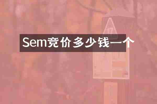 Sem竞价多少钱一个