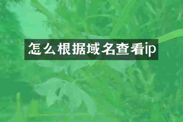 怎么根据域名查看ip