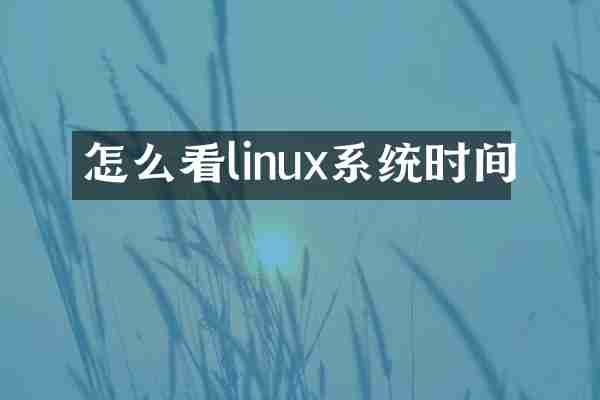 怎么看linux系统时间