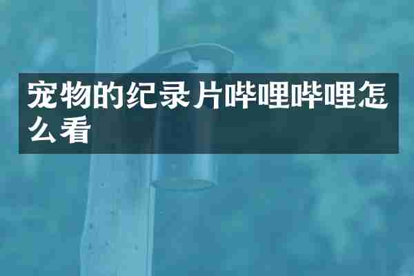 宠物的纪录片哔哩哔哩怎么看