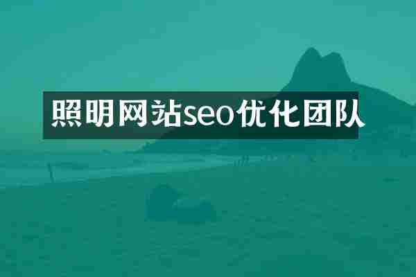 照明网站seo优化团队