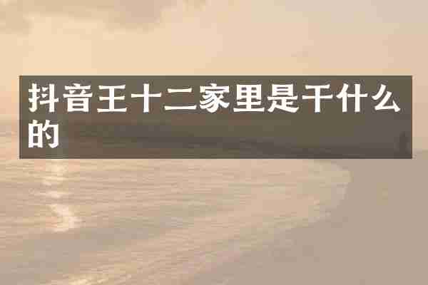 抖音王十二家里是干什么的