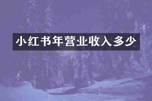 小红书年营业收入多少