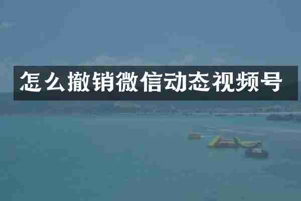 怎么撤销微信动态视频号