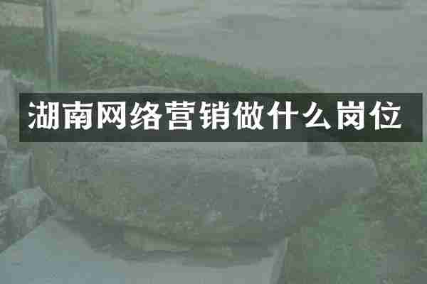 湖南网络营销做什么岗位