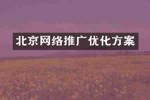 北京网络推广优化方案