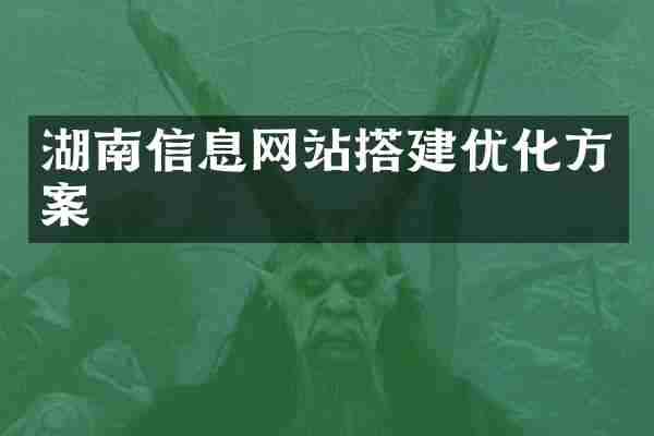 湖南信息网站搭建优化方案