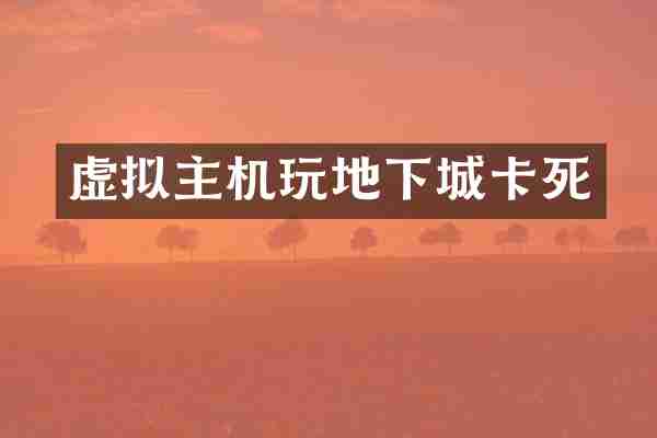 虚拟主机玩地下城卡死