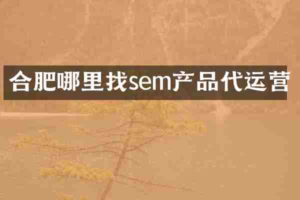 合肥哪里找sem产品代运营