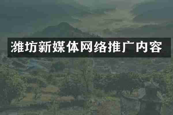 潍坊新媒体网络推广内容
