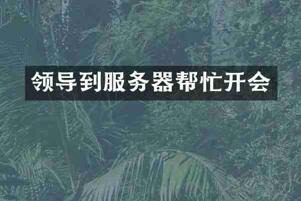 领导到服务器帮忙开会